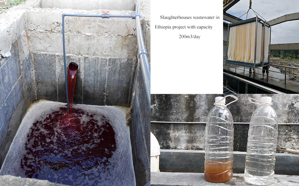 Slaughter House Wastewater Treatment mbr
