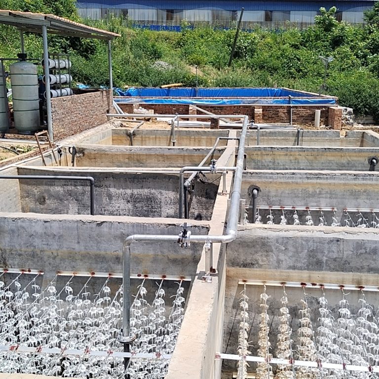 Piggery Farm Wastewater Treatment Plant