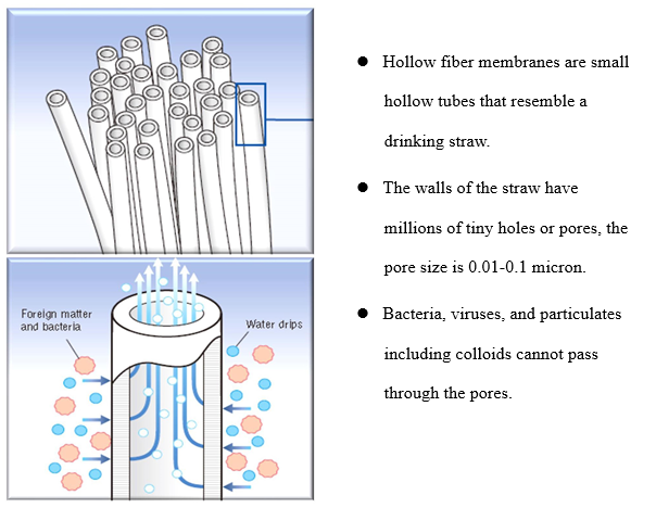 hollow fibers uf