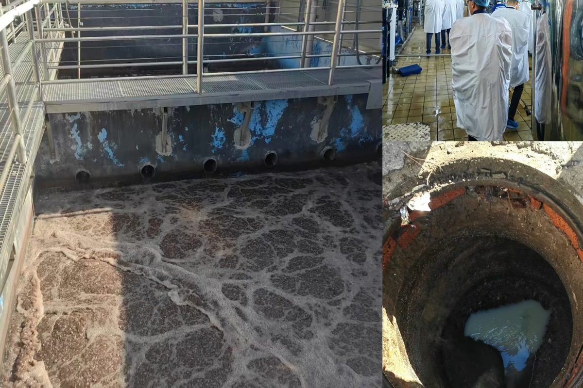 Milk Food Wastewater Treatment Plant