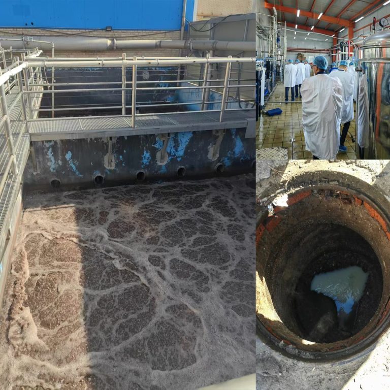 Milk Food Wastewater Treatment Plant