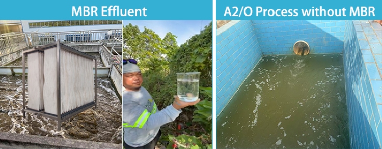 MBR Effluent
