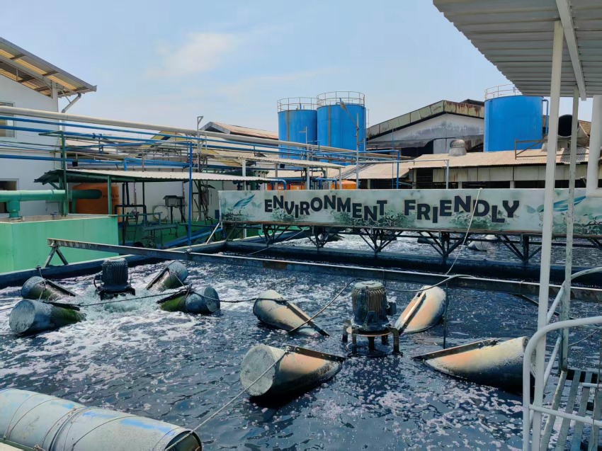 Wastewater Treatment and Water Reuse System for Polyester Textile Dyeing